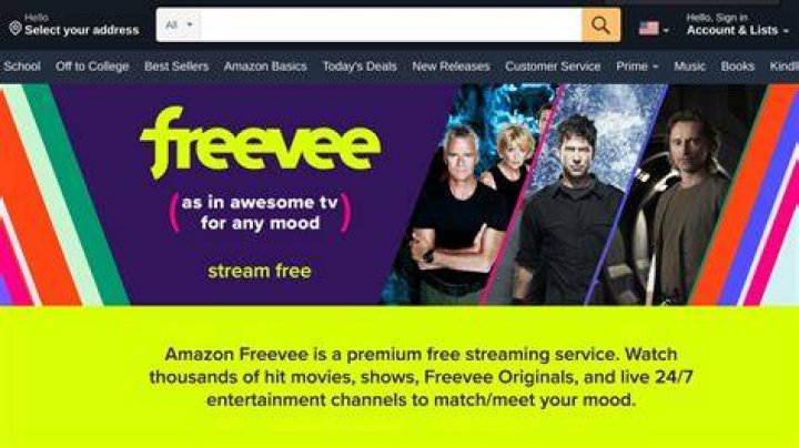 Amazon Freevee streaming interface