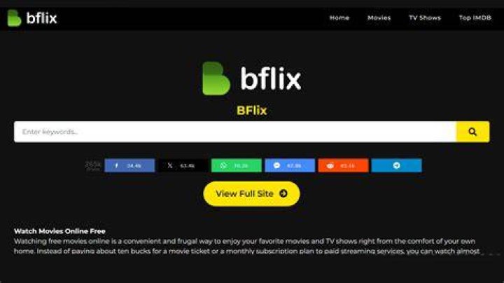 bflix Not Working? Troubleshooting Common Streaming Issues & Fixes