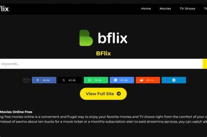 How to Use bflix: Complete Beginner's Guide to Free Streaming